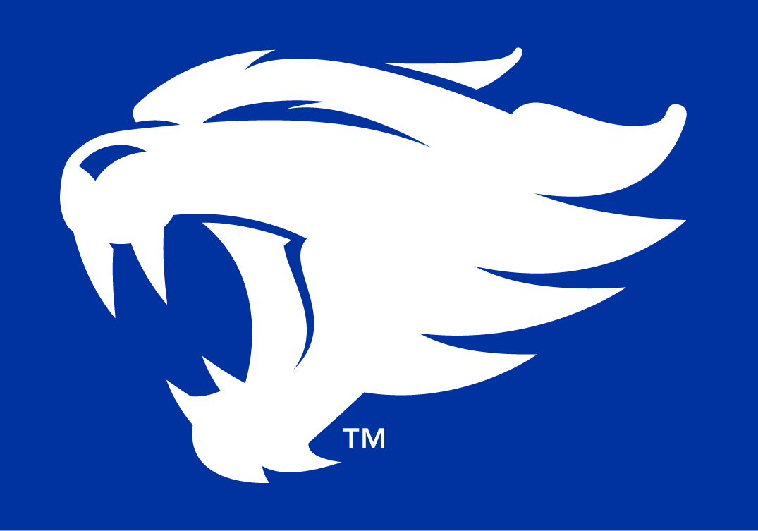 Kentucky Wildcats 2016-Pres Alternate Logo DTF decal stickers 2